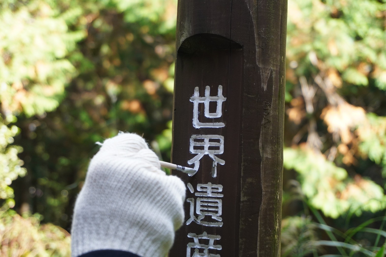 2786935E-8A94-4F02-B659-67031C6F658D