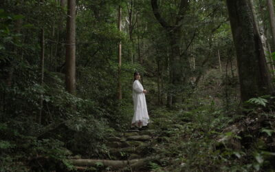 Beyond the Hike: The 3 Rituals of Rebirth on the Kumano Kodo