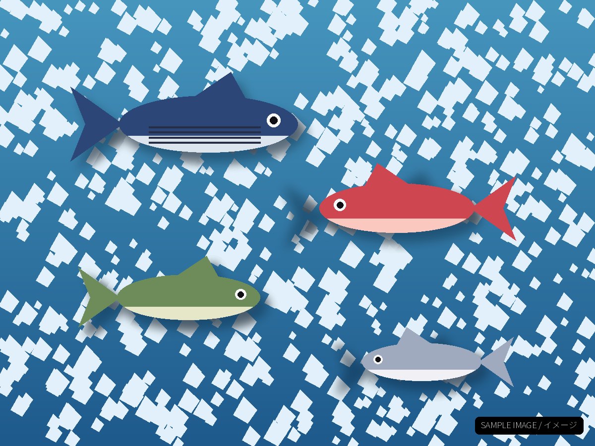 地元でとれる魚（イメージ）